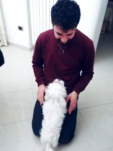 Marco Zongoli con un cucciolo di maltese