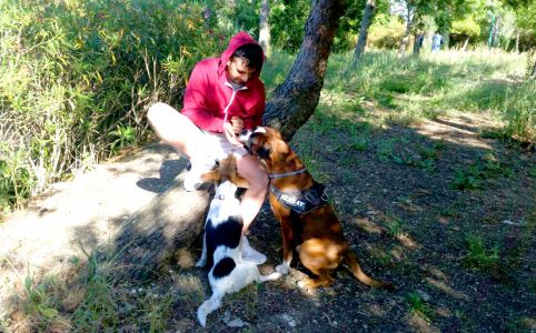 Educatore Marco Zongoli con due cani all'aperto